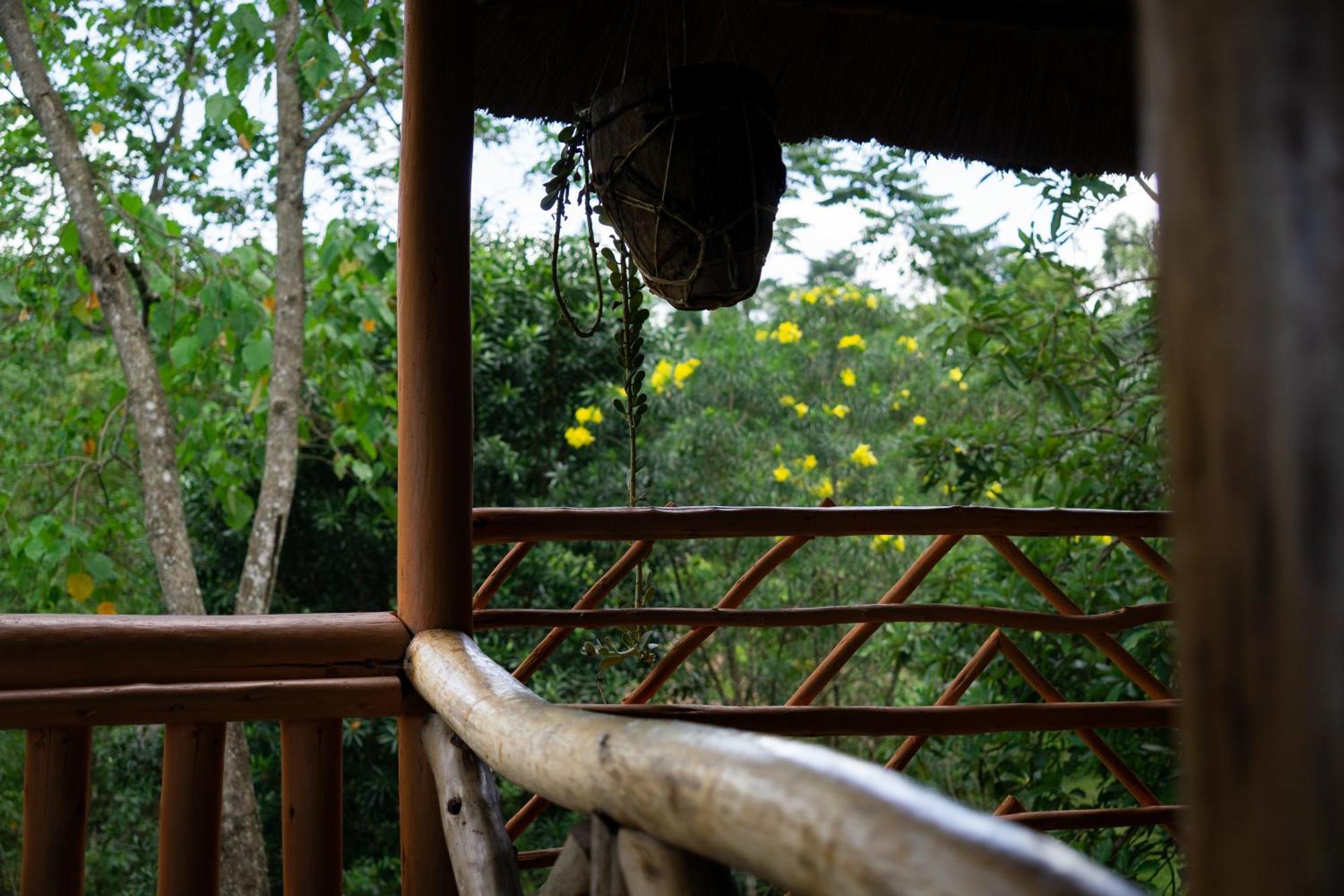 Dave The Cave Eco Lodge And Cultural Campsite Rubirizi Экстерьер фото
